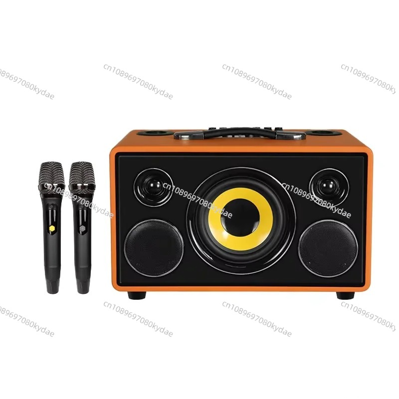 Karaoke Speaker System 100W Rgb - Altoparlante karaoke professionale in legno con