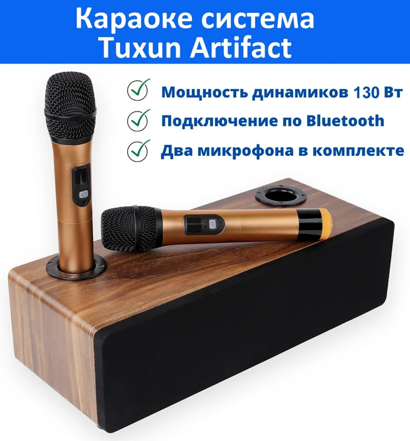 Bluetooth Karaoke Microphone Handheld - Sistema di microfono Wireless professionale per