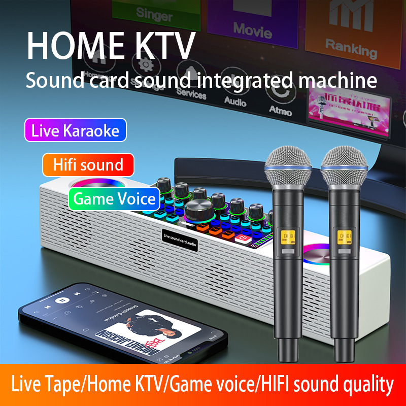 Karaoke Machine Portable With 2 Mic - SY8 Scheda audio per trasmissione in