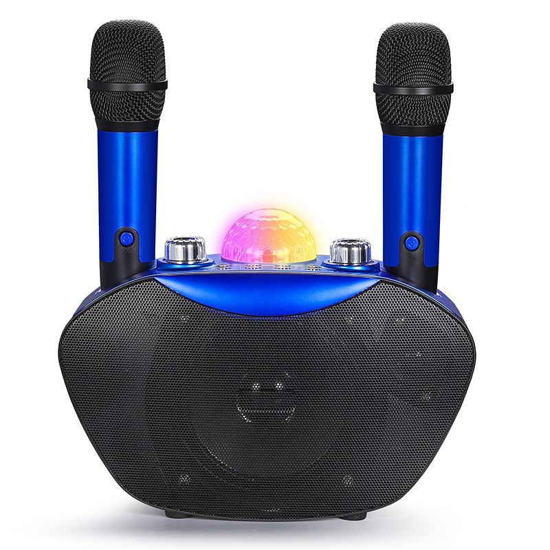 Bluetooth Karaoke Microphone Handheld - Mini Subwoofer Portatile con Microfono Wireless,