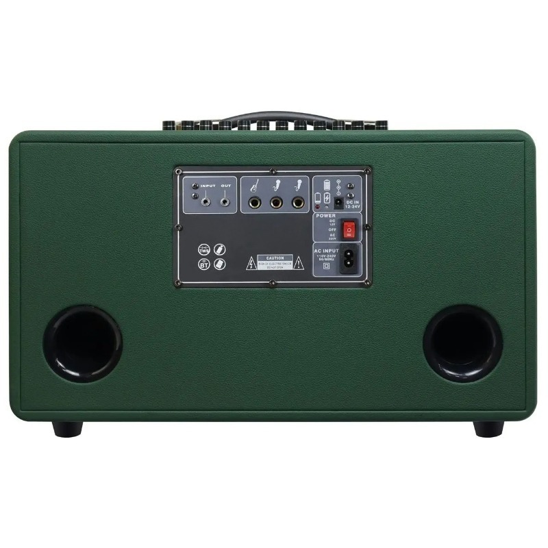 Karaoke Speaker System 100W Rgb - Altoparlante karaoke professionale in legno da