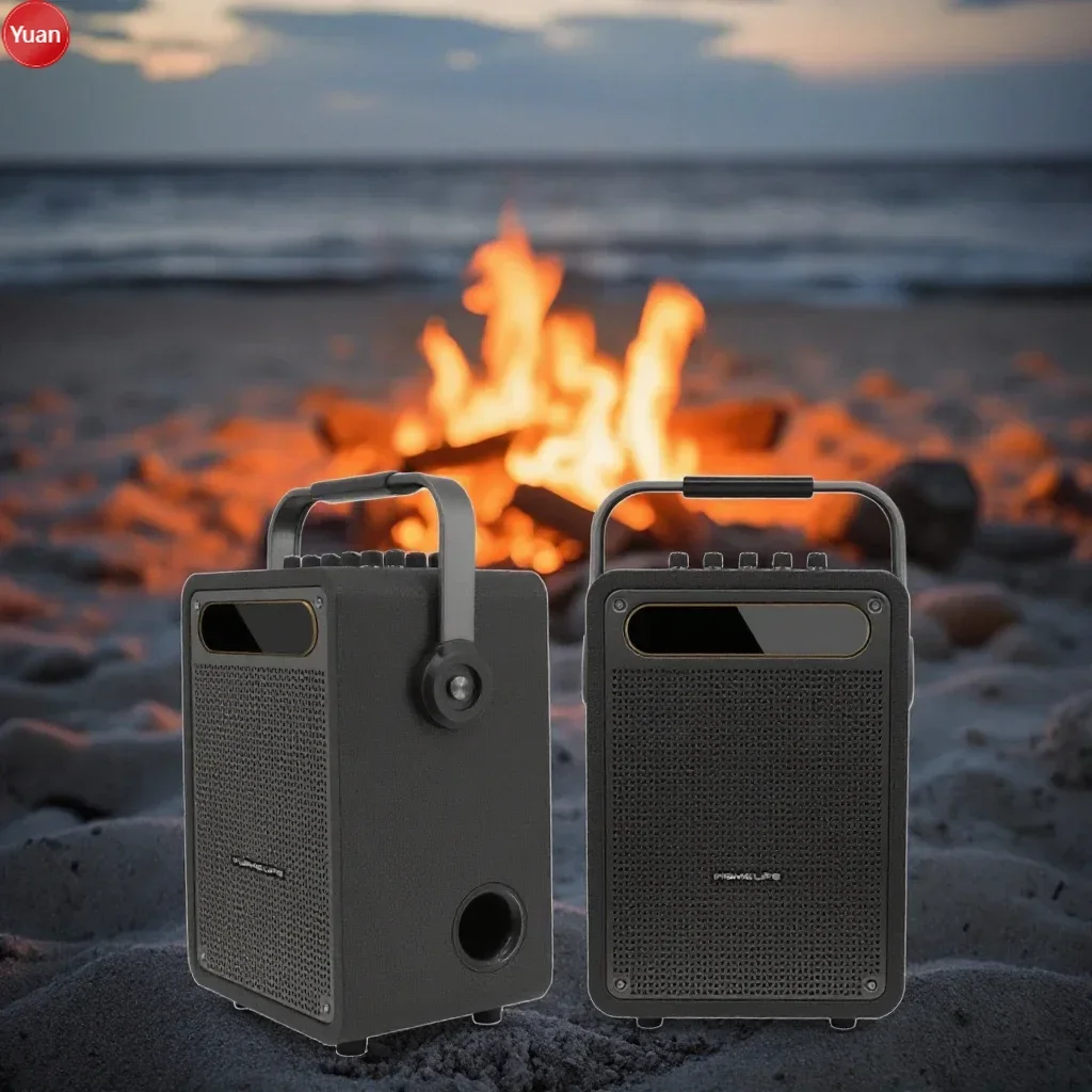 Altoparlante karaoke wireless  - Karaoke Machine Portable With 2 Mic recensione e prezzo