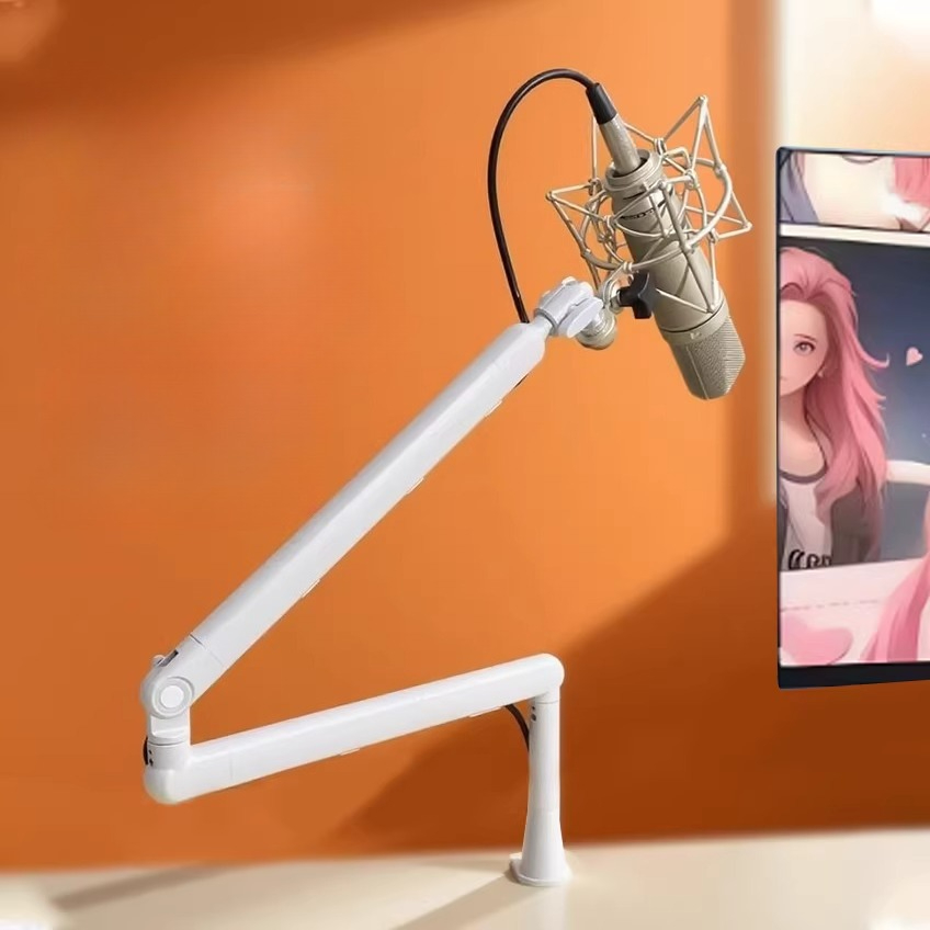 Supporto per Microfono con Bra - Microphone Stand Boom Arm Floor recensione e prezzo