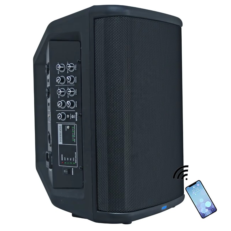Scatola audio per chitarra con - Pa Sound System Battery Portable Outdoor recensione e prezzo