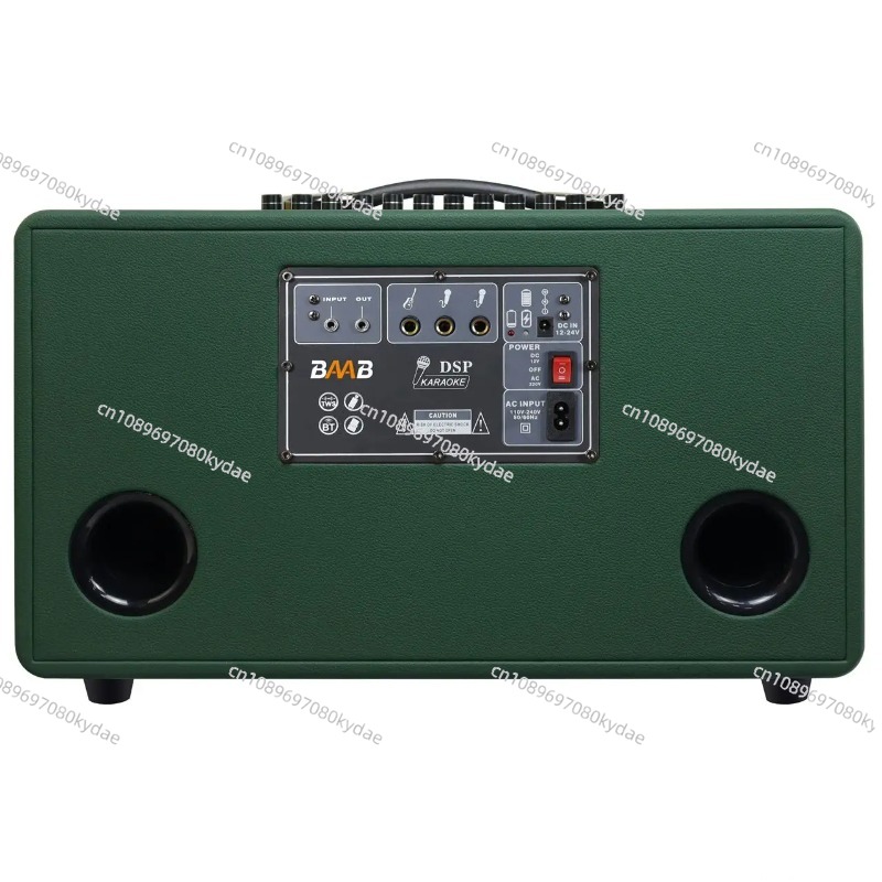 Altoparlante karaoke professio - Karaoke Speaker System 100W Rgb recensione e prezzo