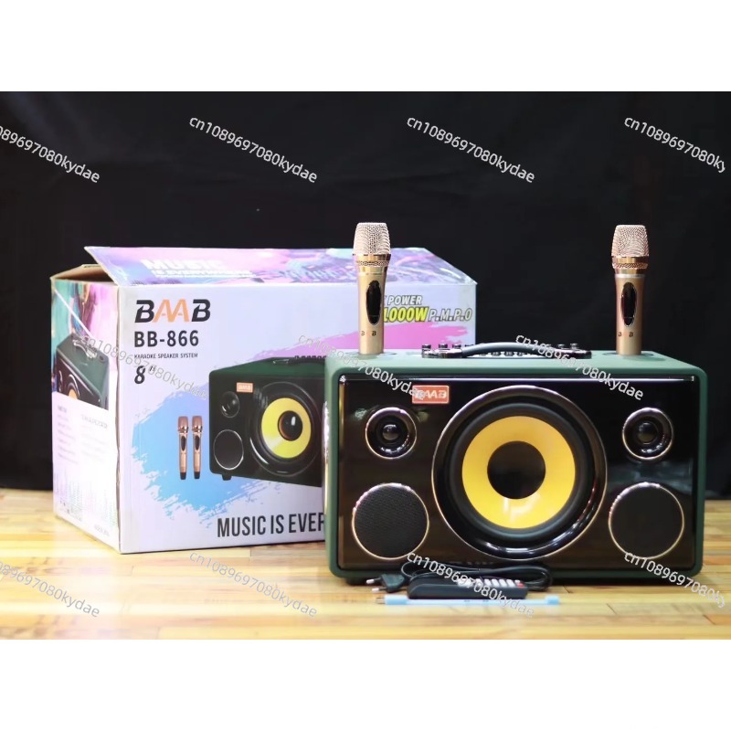 Altoparlante karaoke professio - Karaoke Speaker System 100W Rgb recensione e prezzo