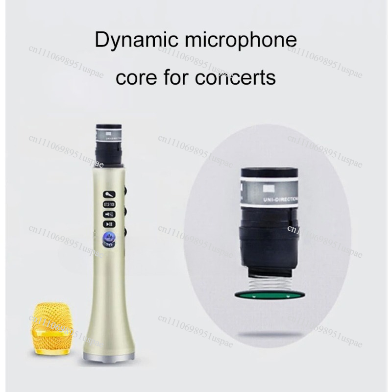 L-698DSP Microfono wireless da - Bluetooth Karaoke Microphone Handheld recensione e prezzo