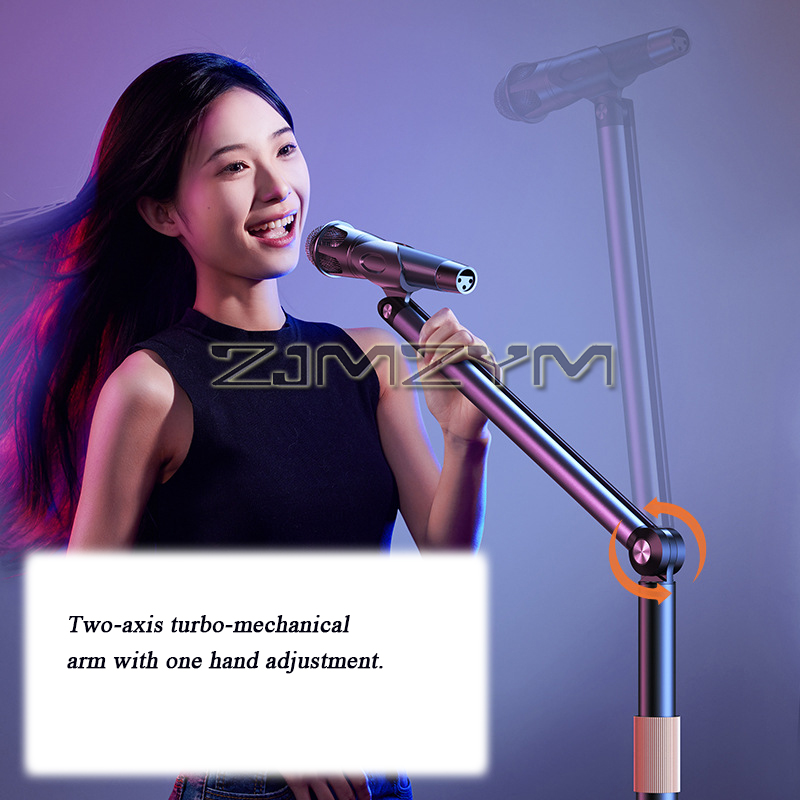 Supporto per Microfono da Pavi - Microphone Stand Boom Arm Floor recensione e prezzo