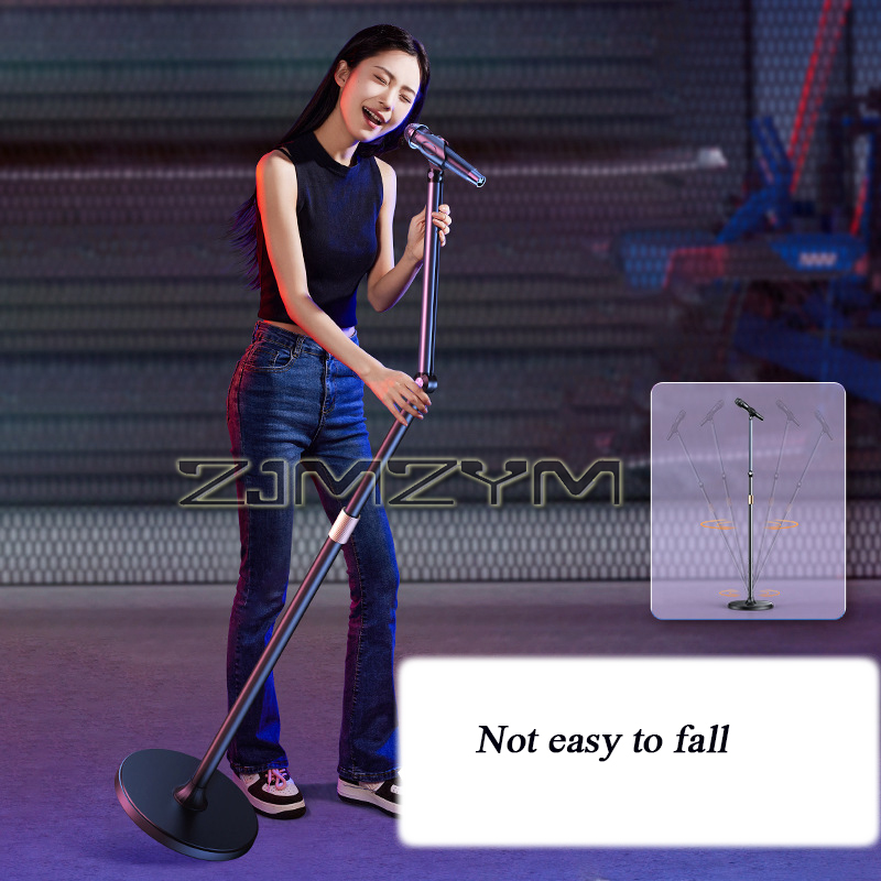 Supporto per Microfono da Pavi - Microphone Stand Boom Arm Floor recensione e prezzo
