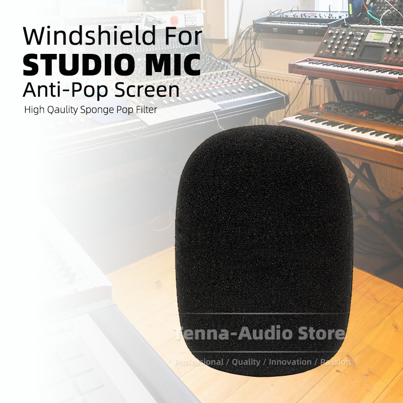 Spugna per microfono in schium - Microphone Pop Filter Foam Windscreen recensione e prezzo