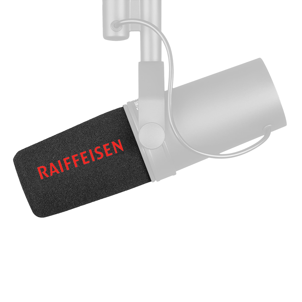 Filtro Pop Dead Cat Logo perso - Microphone Pop Filter Foam Windscreen recensione e prezzo