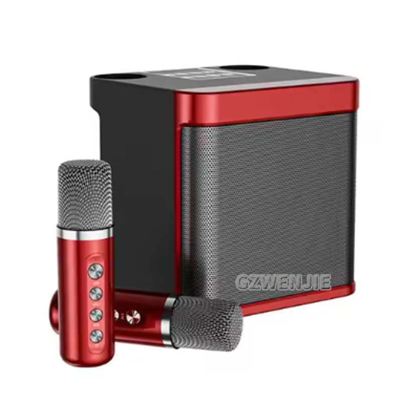 Sistema Karaoke Portatile con  - Karaoke Machine Portable With 2 Mic recensione e prezzo