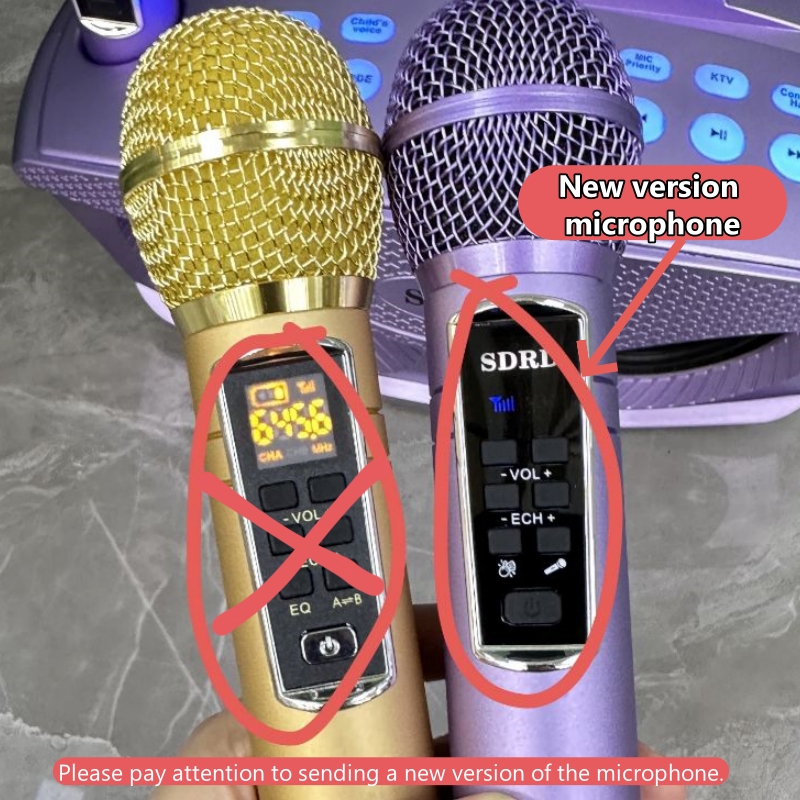 SD306Plus Macchina per karaoke - Karaoke Machine Portable With 2 Mic recensione e prezzo