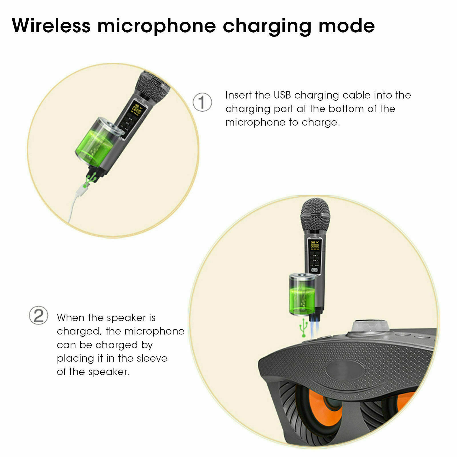 SD306Plus Macchina per karaoke - Karaoke Machine Portable With 2 Mic recensione e prezzo