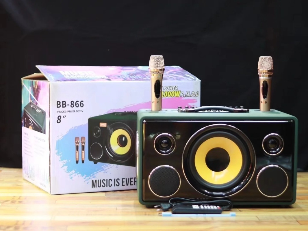 Altoparlante karaoke professio - Karaoke Speaker System 100W Rgb recensione e prezzo
