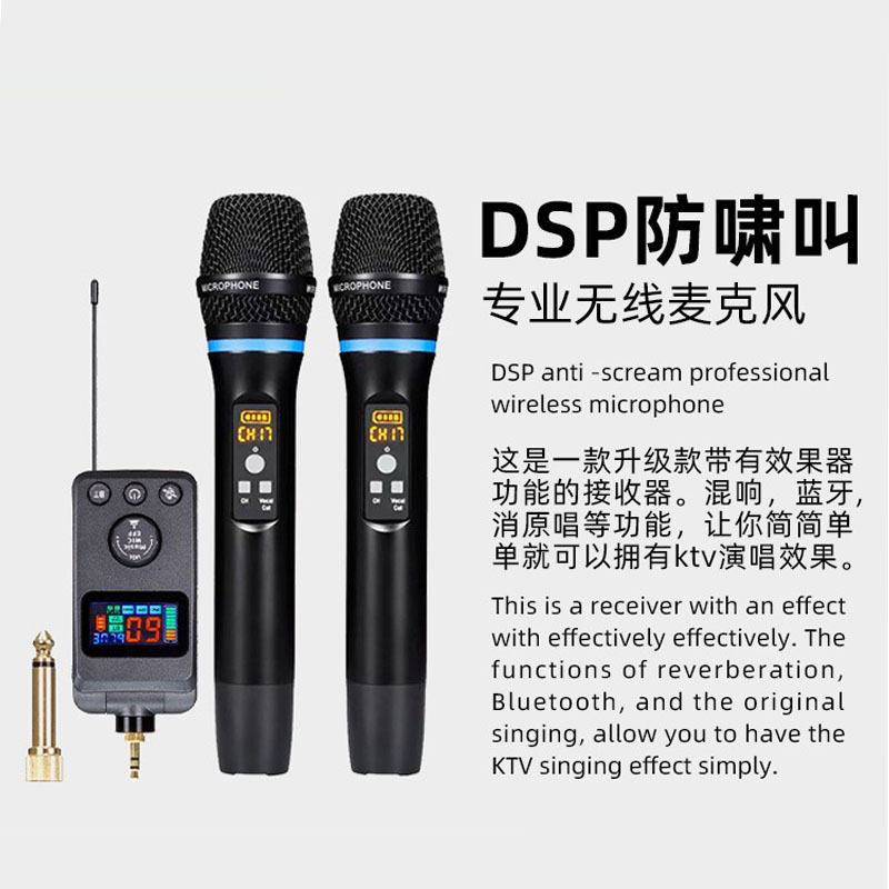 Microfono universale con DSP a - Bluetooth Karaoke Microphone Handheld recensione e prezzo