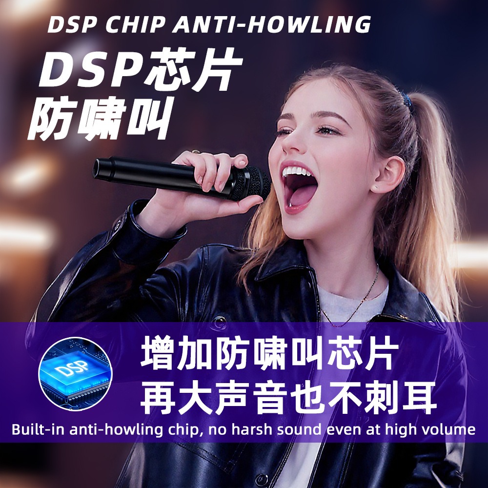 Microfono universale con DSP a - Bluetooth Karaoke Microphone Handheld recensione e prezzo