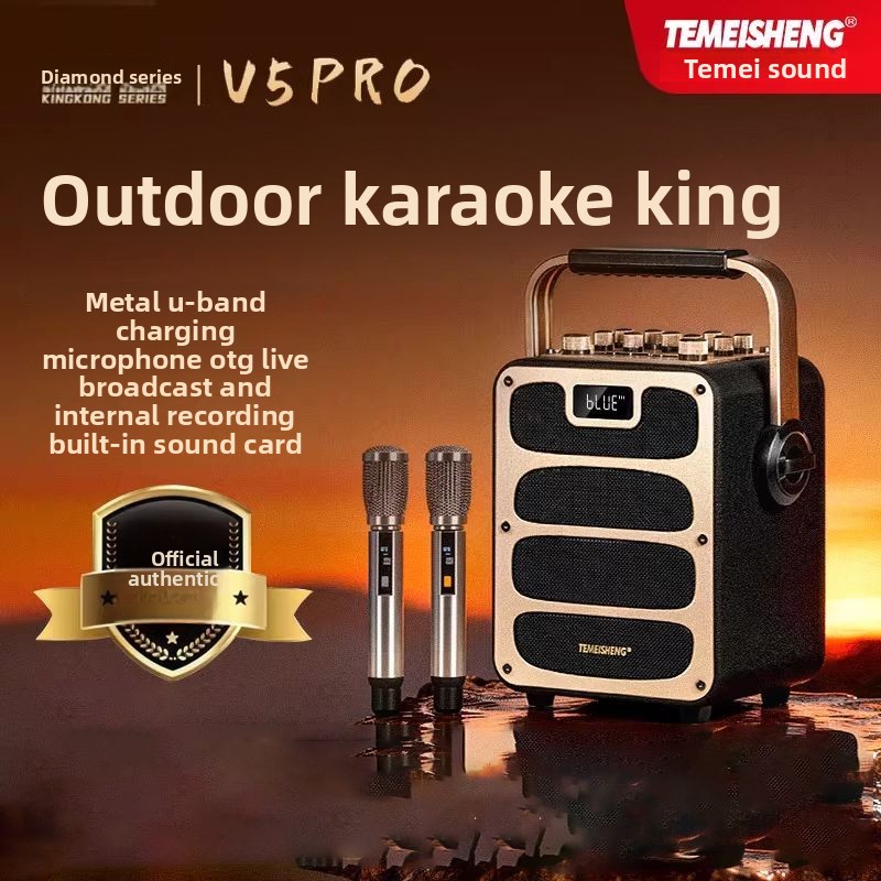 Altoparlante Bluetooth TEMEISH - Pa Sound System Battery Portable Outdoor recensione e prezzo