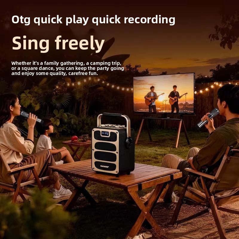 Altoparlante Bluetooth TEMEISH - Pa Sound System Battery Portable Outdoor recensione e prezzo