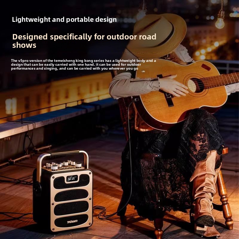 Altoparlante Bluetooth TEMEISH - Pa Sound System Battery Portable Outdoor recensione e prezzo