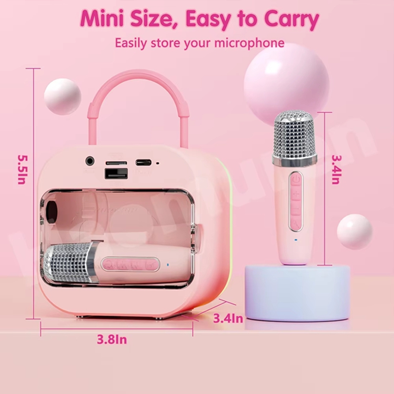 LZQLY Mini macchina per karaok - Karaoke Machine Portable With 2 Mic recensione e prezzo