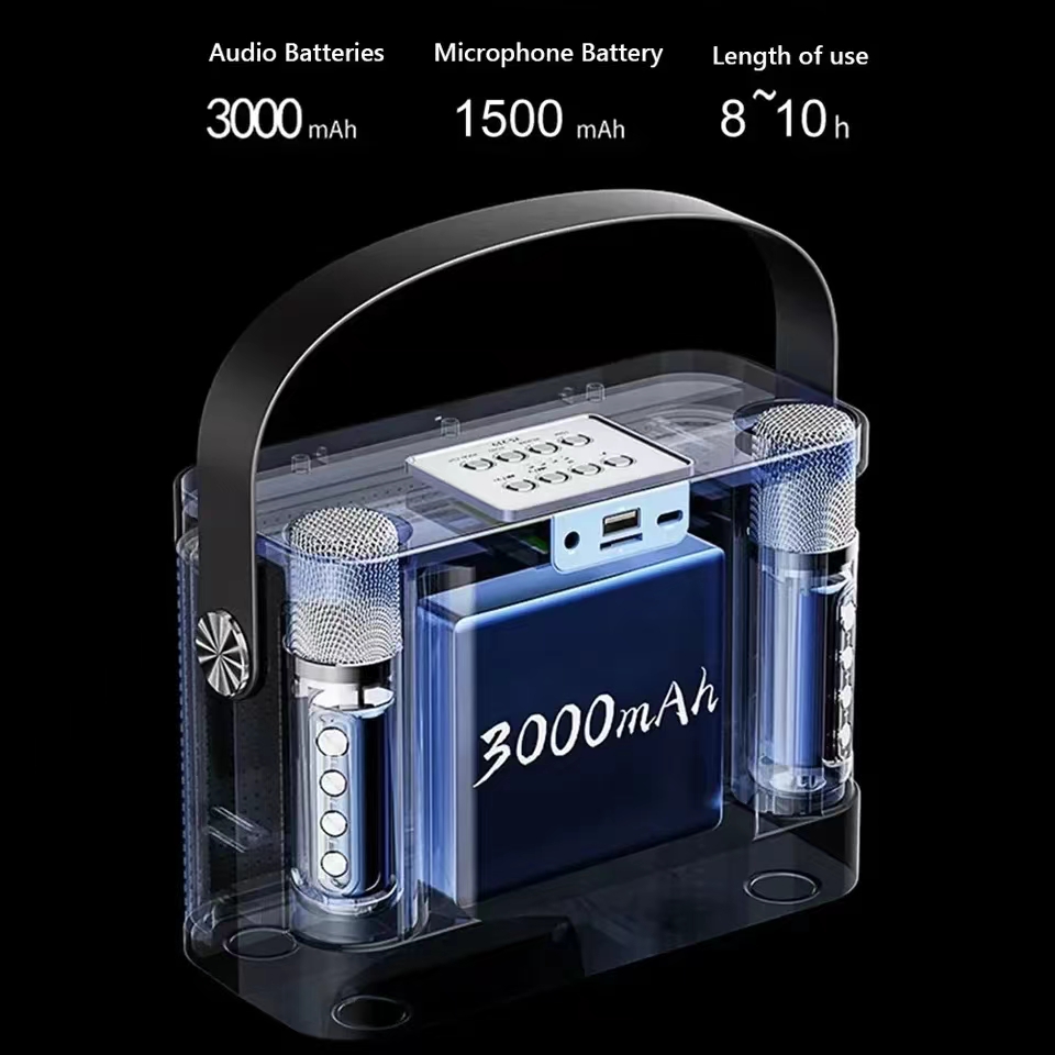 Potente Altoparlante Bluetooth - Karaoke Machine Portable With 2 Mic recensione e prezzo