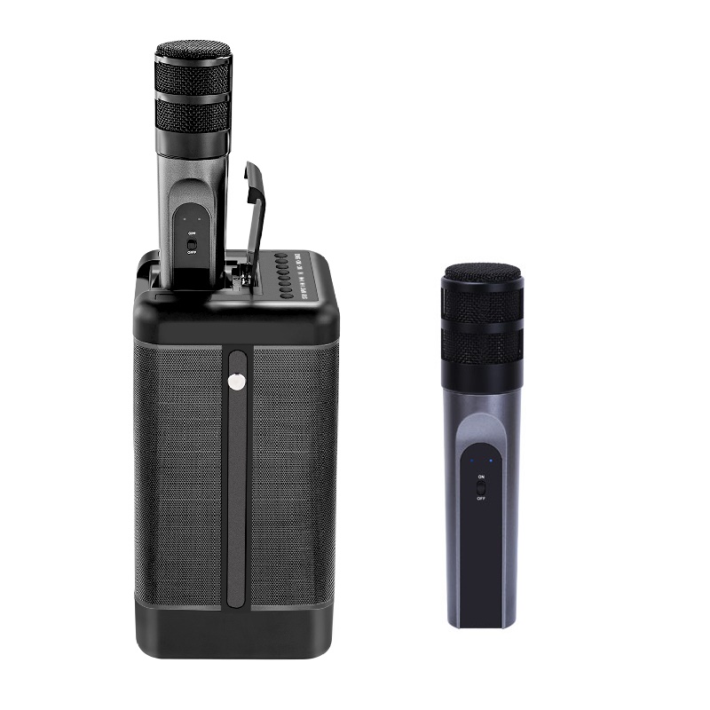 Miglior Lettore Karaoke USB Po - Bluetooth Karaoke Microphone Handheld recensione e prezzo