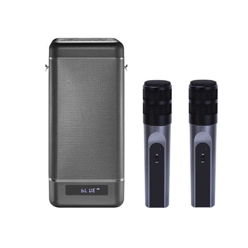 Miglior Lettore Karaoke USB Po - Bluetooth Karaoke Microphone Handheld recensione e prezzo