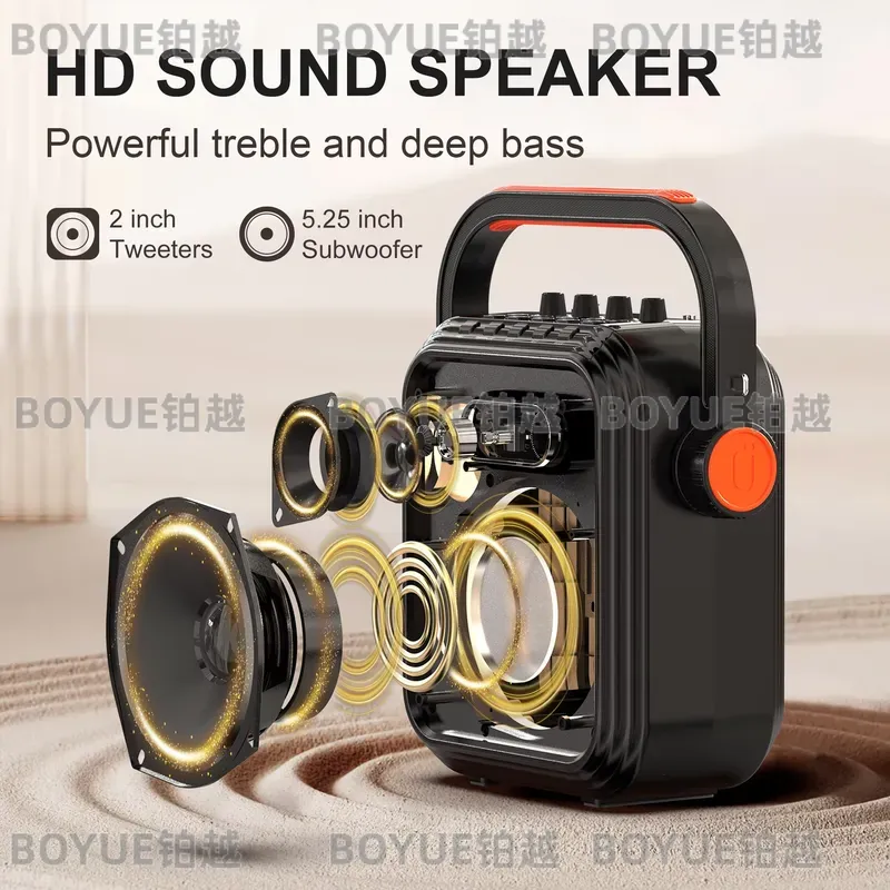 Macchina Karaoke Portatile con - Karaoke Machine Portable With 2 Mic recensione e prezzo
